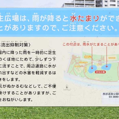 shindensakura-lawn-square-3 芝生広場の案内板(新田さくら公園)