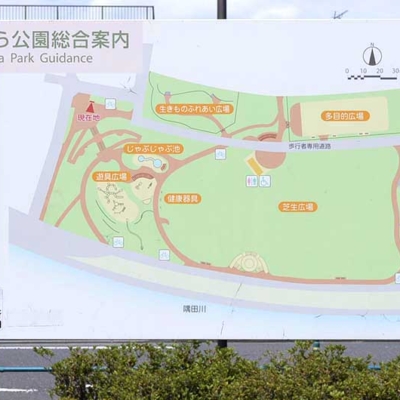 shindensakura-sign-1 案内板(新田さくら公園)