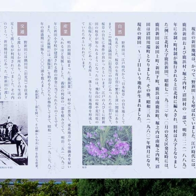 shindensakura-sign-3 新田地域の歴史(新田さくら公園)