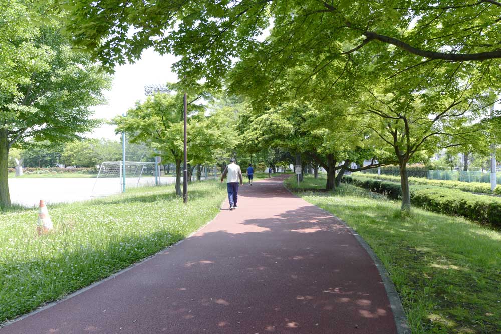 ジョギングコース（総合スポーツセンター公園）