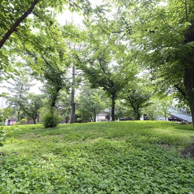 syoubu-landscape-4 緑の多い公園(しょうぶ沼公園)