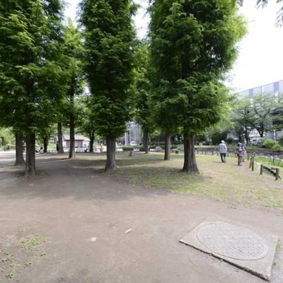 syoubu-landscape-5 緑の多い公園(しょうぶ沼公園)