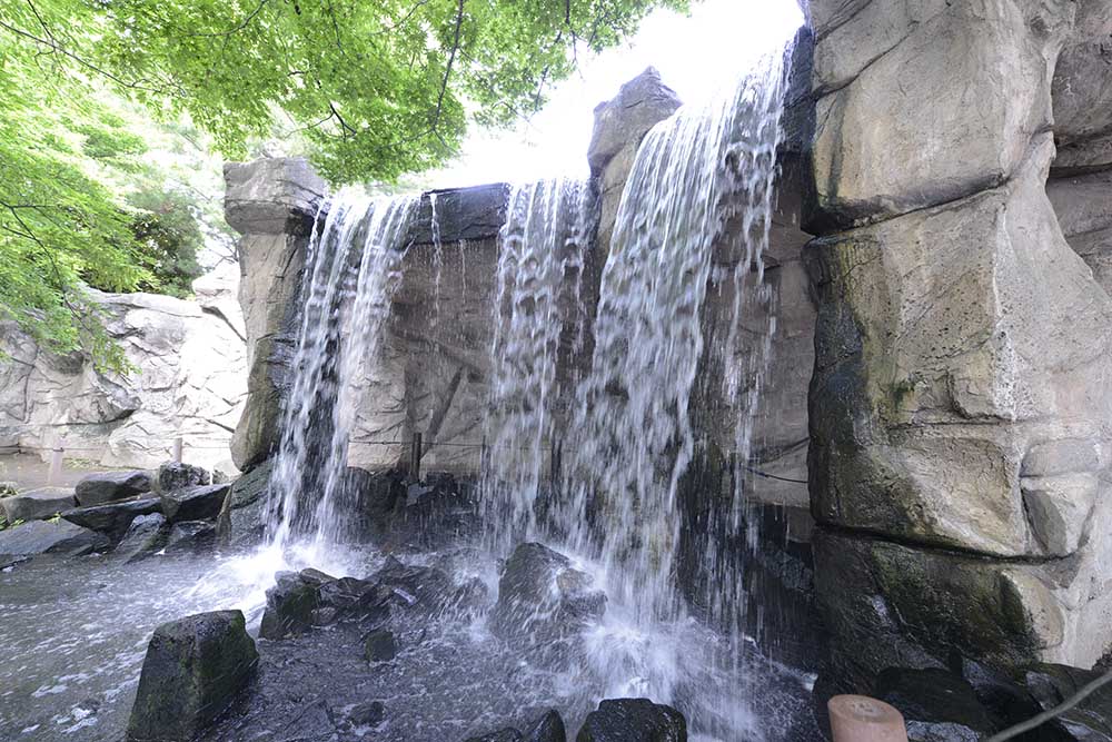 syoubu-waterside-1 岩屋の滝(しょうぶ沼公園)