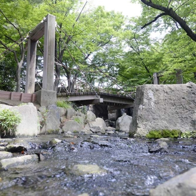 syoubu-waterside-6 小川(しょうぶ沼公園)