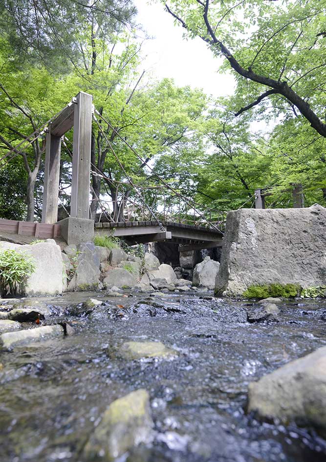 syoubu-waterside-6 小川(しょうぶ沼公園)