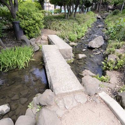 syoubu-waterside-8 親水エリア(しょうぶ沼公園)