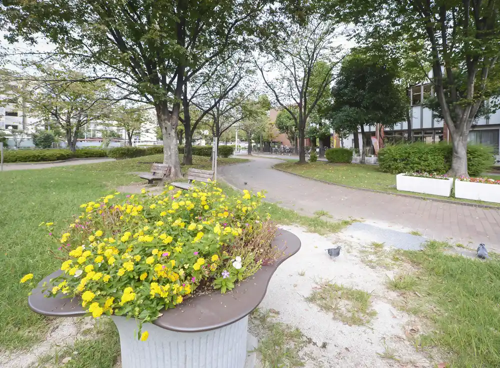竹北公園の整備された歩道。車イスに乗ったまま間近で花を楽しめるインクルーシブ公園