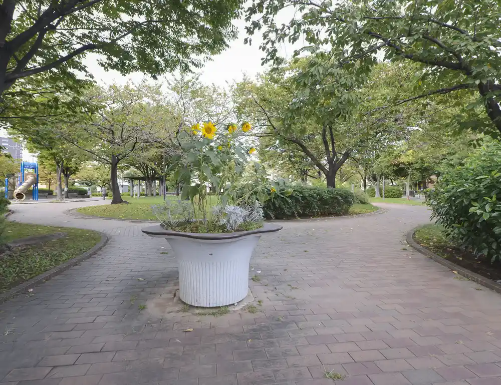 takekita-landscape-4 竹北公園の整備された歩道。車イスに乗ったまま間近で花を楽しめるインクルーシブ公園