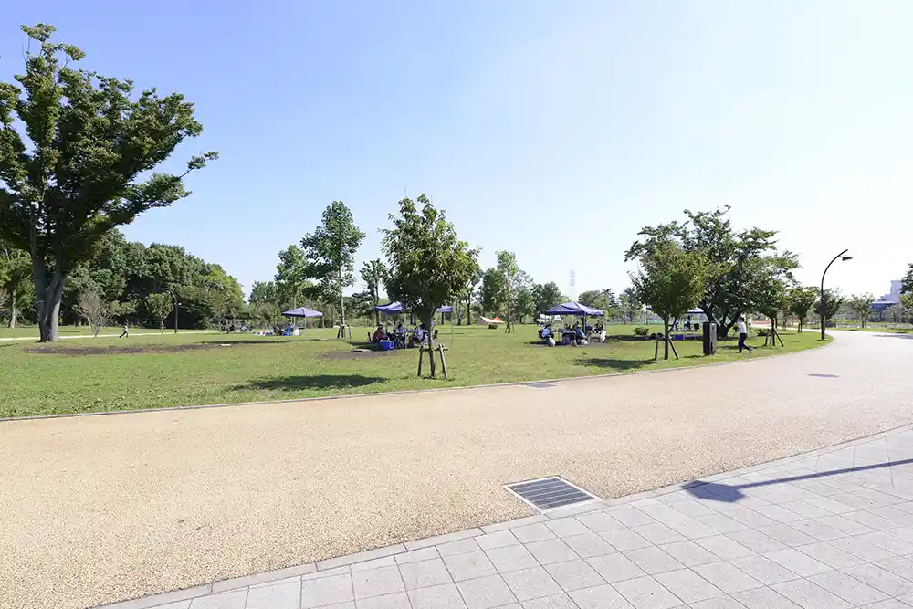 バーベキュー広場（舎人公園）