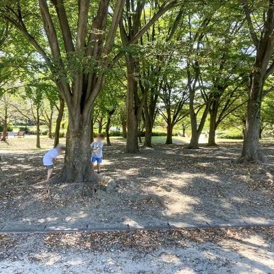 緑地（舎人公園にある幼児公園）