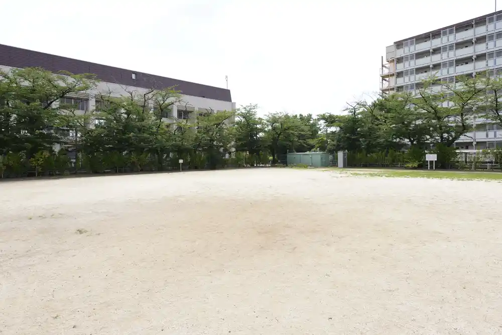 舎人町公園のボールで遊べる広場