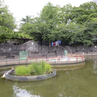 池とじゃぶじゃぶ池（東和親水公園）