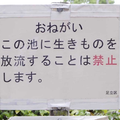 案内板（東和親水公園）