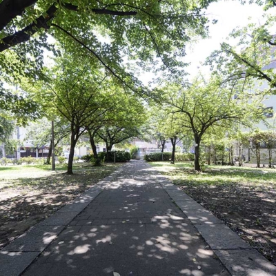 遊歩道（中央公園）
