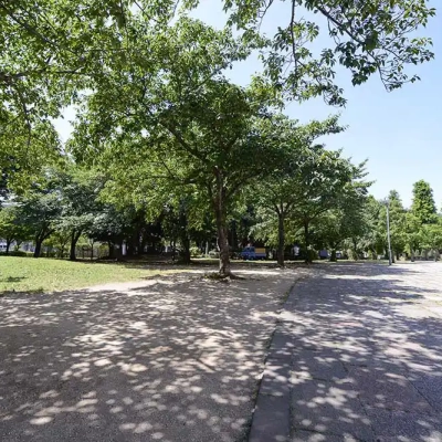 散歩向きの広々とした歩道（中央公園）