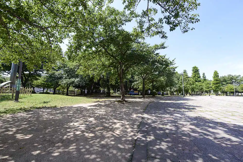 散歩向きの広々とした歩道（中央公園）