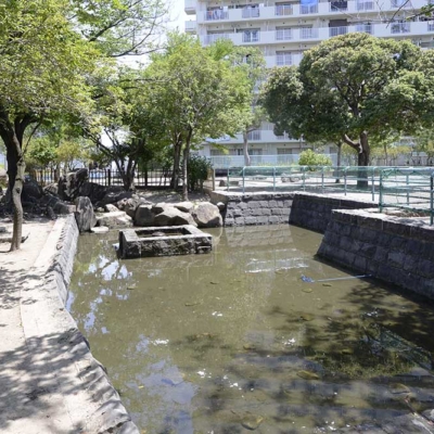 親水エリア（梅田亀田公園）