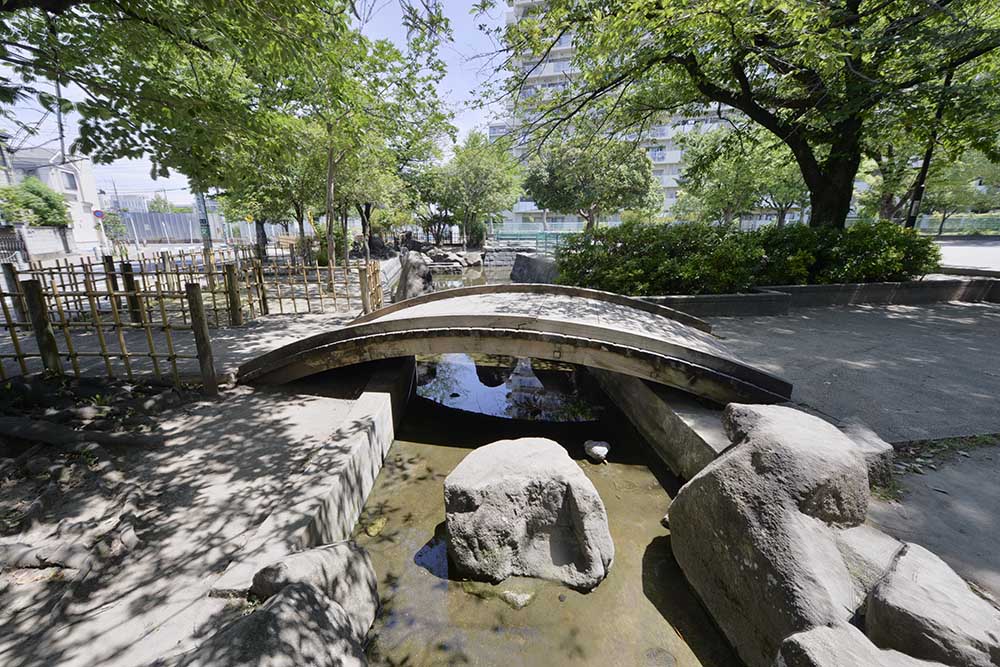 親水エリア（梅田亀田公園）