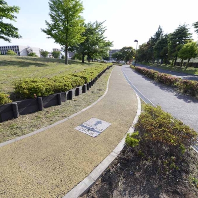 ジョギングコース（中川公園B地区）