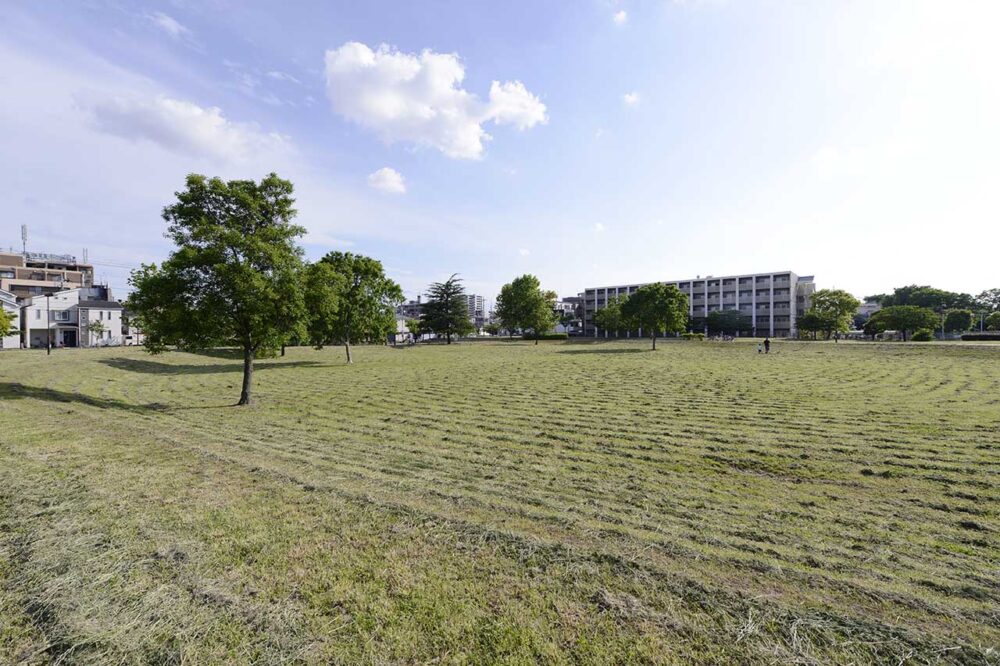 多目的広場（中川公園B地区）