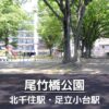 【足立区】尾竹橋公園の見どころを紹介：じゃぶじゃぶ池・野球場・テニスコート