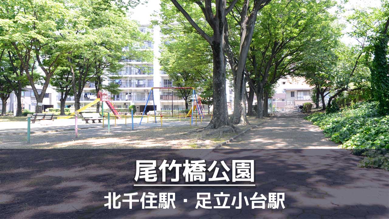 【足立区】尾竹橋公園の見どころを紹介：じゃぶじゃぶ池・野球場・テニスコート