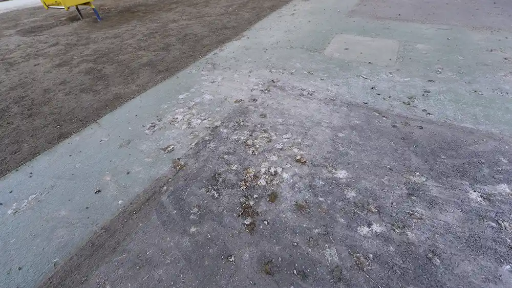 ushidajidou-landscape-2 鳥の糞が目立つ(牛田児童遊園)