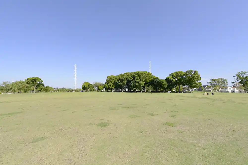 芝生広場（舎人公園）
