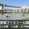 【宮城ファミリー公園】スケートボード施設とバスケットゴールのある公園