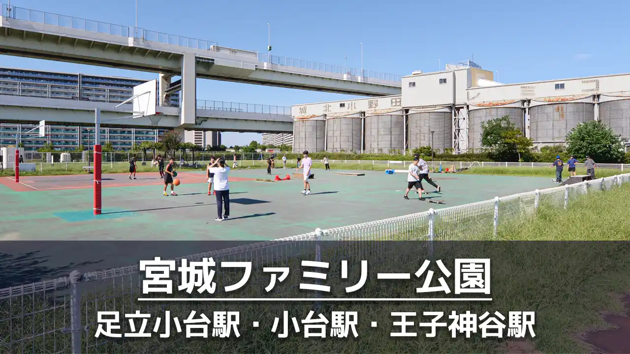 【宮城ファミリー公園】スケートボード施設とバスケットゴールのある公園