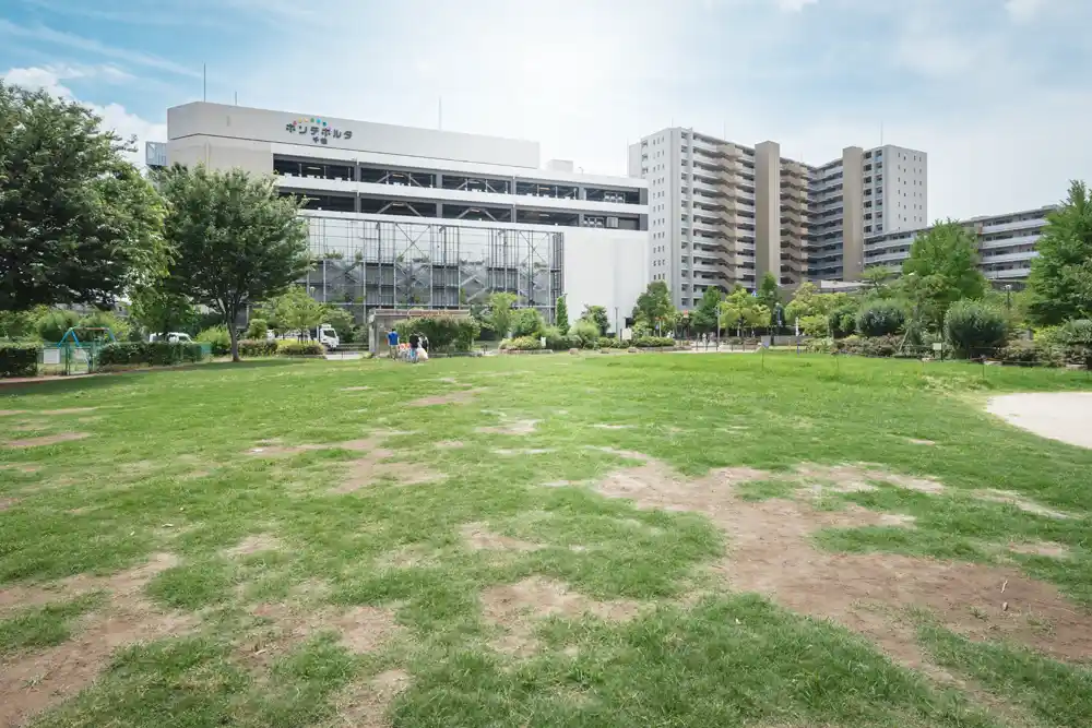 千住大橋さくら公園の広場