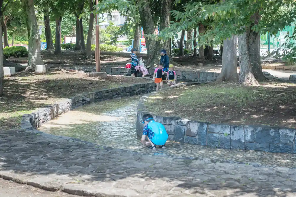 葛飾区中道公園のじゃぶじゃぶ池