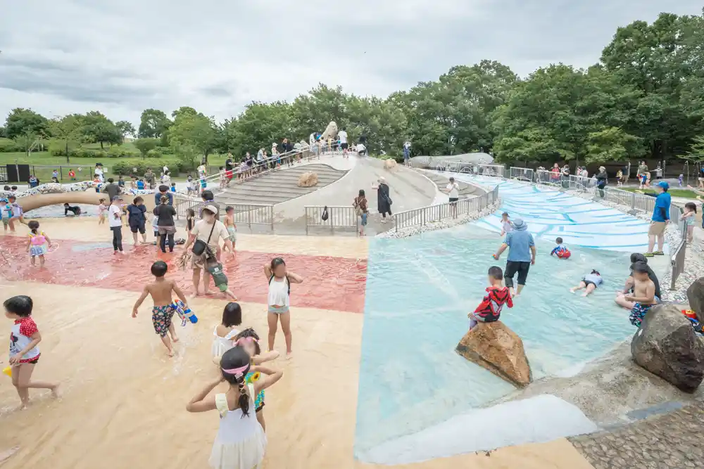 舎人公園のじゃぶじゃぶ池（浮球の池）の写真